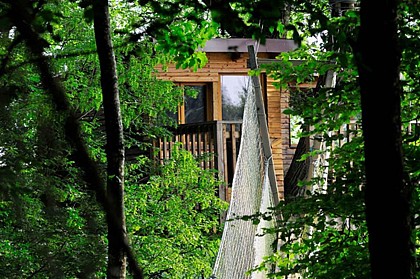 Le Chêne Perché - Cabanes à la cime des arbres