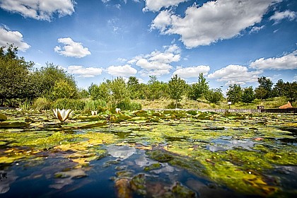 Le parc départemental du Chemin de l’Île