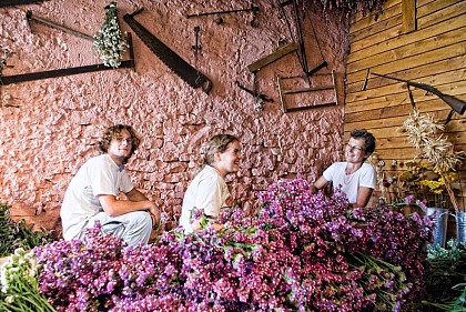 Atelier des Fleurs Séchées
