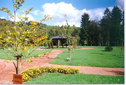 Matton et Clémency's Arboretum