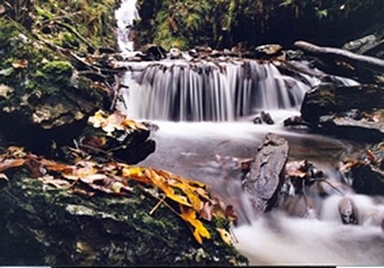 Le Moulin de la Pille - Anchamps-Ardenne, France