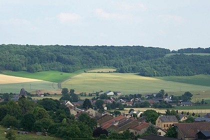 270° viewpoint from the Moscow farm