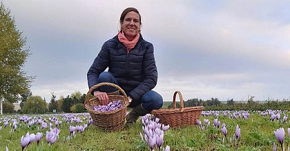 Safran et Plaisirs Gourmands