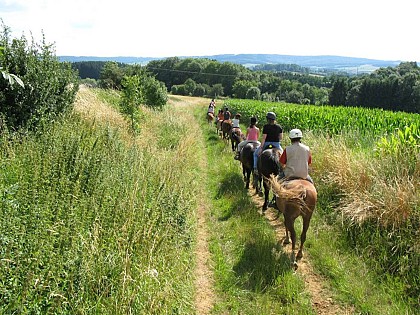 "Chenaie" horse farm