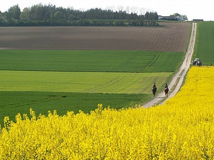 Les Sabots d'Avaux