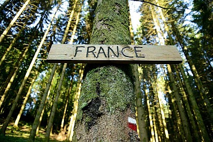 Foret Domaniale de Sedan, de France en Belgique... Au delà des frontières