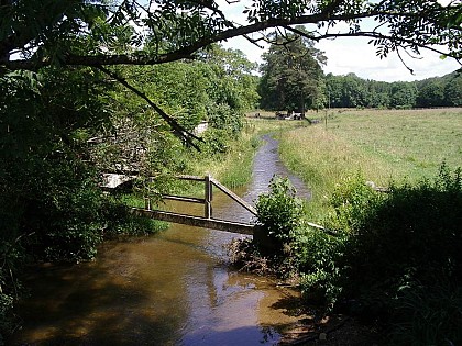 Small river ‘La Claire’ tributary of the Vrigne
