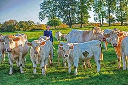 EARL de la sauge aux bois