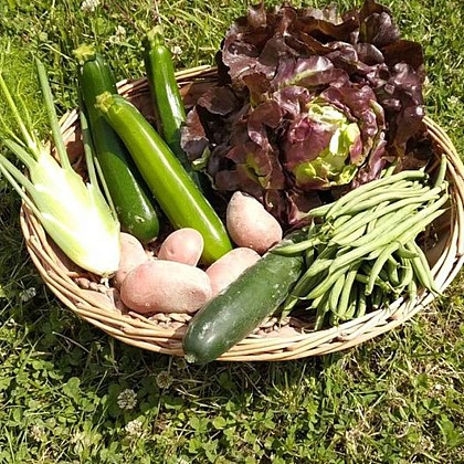 Le Bio jardin de la Croyère