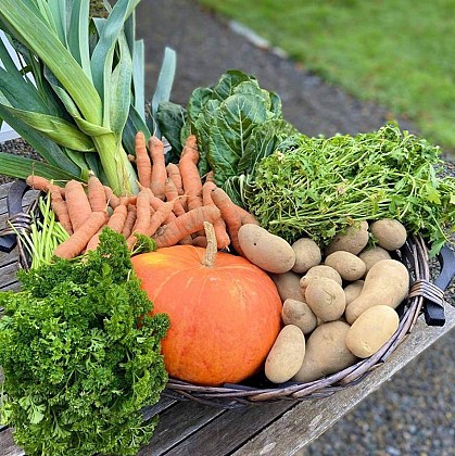 les jardins de perrine