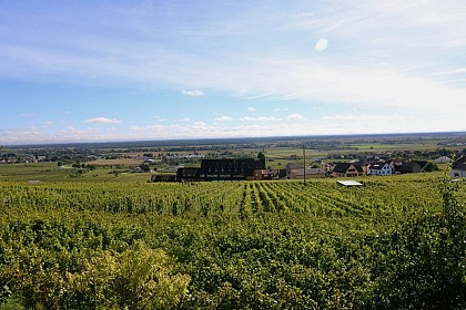 Aire de camping-cars - Domaine Xavier Schneider