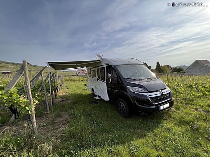 Aire de camping-cars - Domaine WECK François