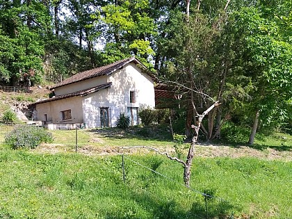 The Borieta