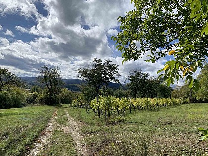 Site naturel Le Krappenhummel