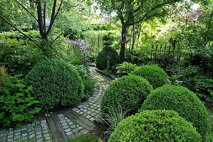 Garden from Pierrette