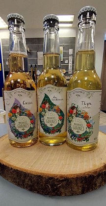 Limonaderie Artisanale Mauvaises Graines