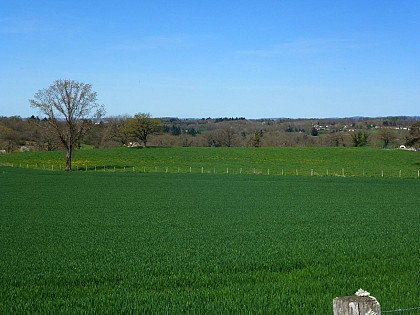 Point de vue