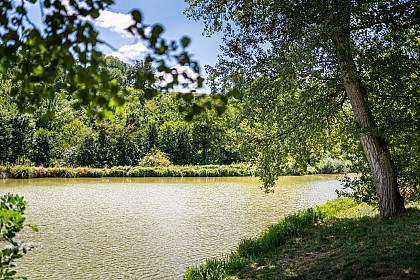Etang du Batou