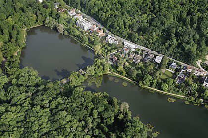 Les étangs de Corot