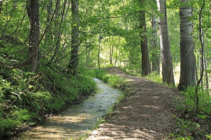 The restoration of the canals