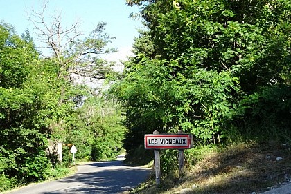 Les représentations de la vigne