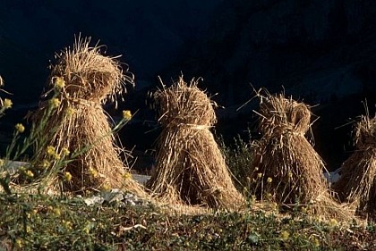 L’isolation en paille