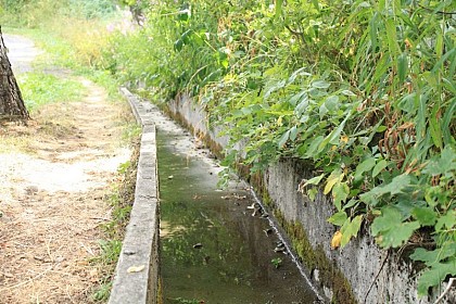 The irrigation canals