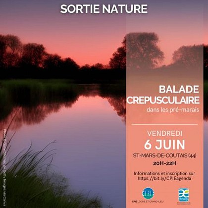 BALADE CRÉPUSCULAIRE DANS LES PRÉ-MARAIS