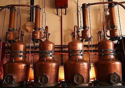 La Distillerie Calcquesin