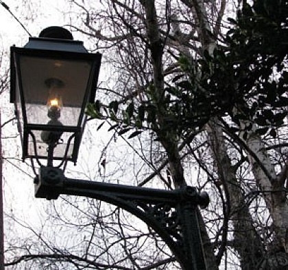 Léon le dernier bec de Gaz