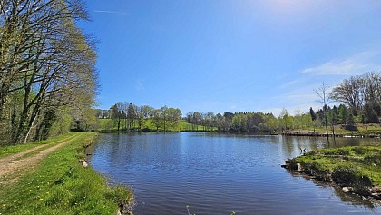 Etang de Cromières