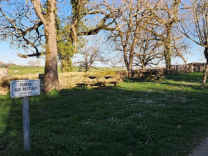 Aire de pique-nique du foirail d'Espinas