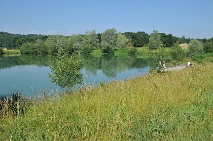 Les barthes de Biron