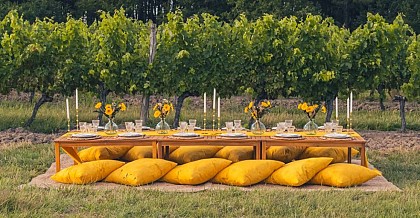 Le Temps d'un Pic Nic