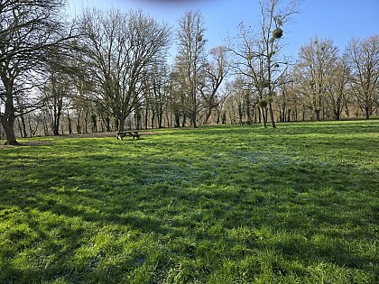 Aire de pique-nique du plan d'eau des Graviers
