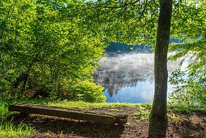 Etang de Pézanin