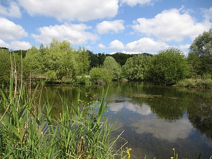 Espace naturel sensible du Grand Rozeau et des Près Blonds