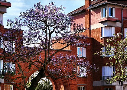Cité-Jardins de Suresnes