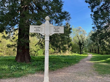 Allée des Lions - Forêt Régionale de Ferrières-en-Brie