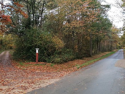 Lieu de parachutage - Seconde Guerre mondiale