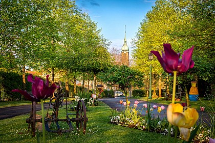 Parc municipal de Freyming-Merlebach