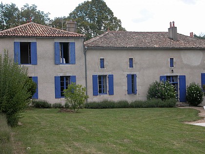La Sauvageonne - Les clématites