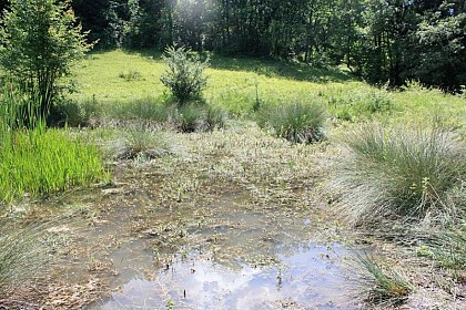 Espace Naturel Sensible de la mare de Bouvetaire