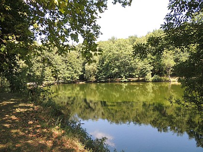 Aire de pique-nique du Boulard