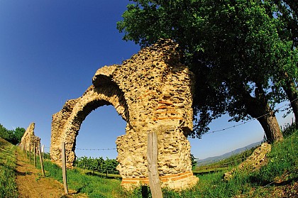 The Gier Roman Aqueduct in Soucieu en Jarrest