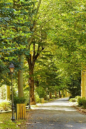 LE PARC DES QUINCONCES