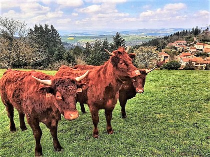 Balade à la ferme La Sagnole