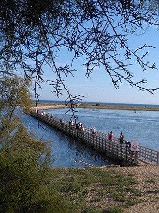 CAMPING LA BELLE HENRIETTE