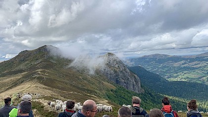 Découverte de l'estive collective du groupement pastoral
