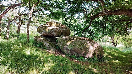 Dolmen du Crech an Hu | Plouaret
